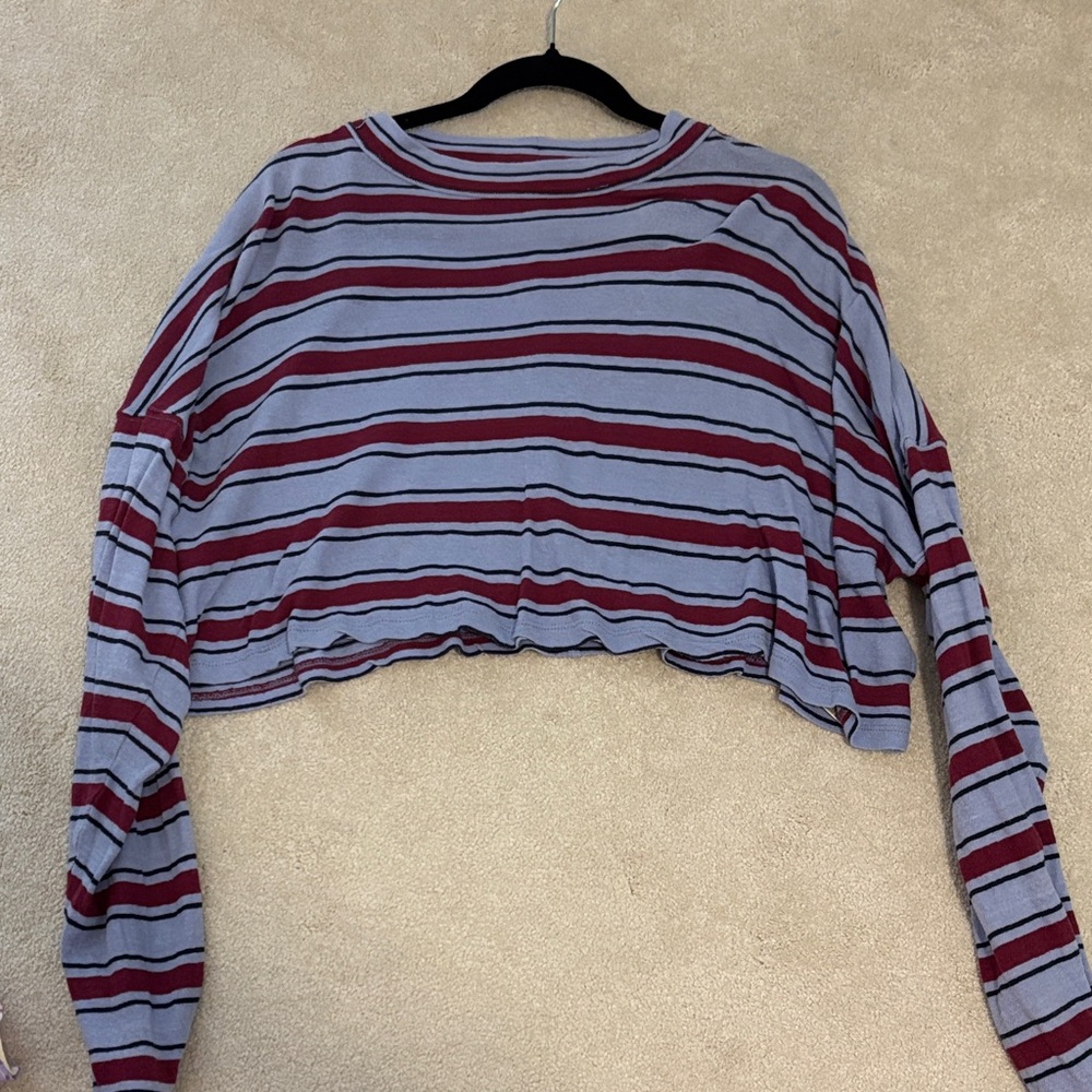 Free People Pink and Blue Striped Crop Sweatshirt